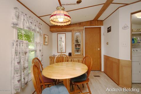 4229 E Shore Dr, Stanton, MI 48888 photo 12