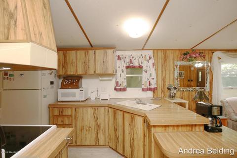 4229 E Shore Dr, Stanton, MI 48888 photo 9