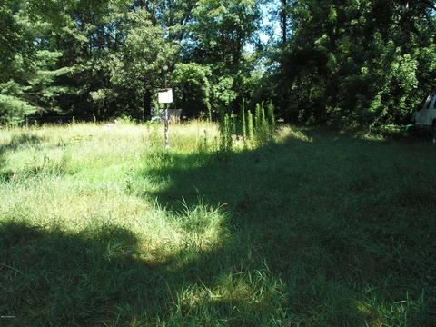 16910 Mintdale Rd, Constantine, MI 49042 photo 5