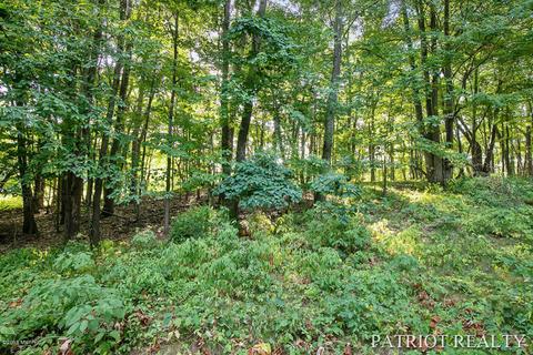 968 Spaulding Ave SE, Ada, MI 49301 photo 31