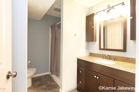 9856 Belding Rd, Belding, MI 48809 photo 27