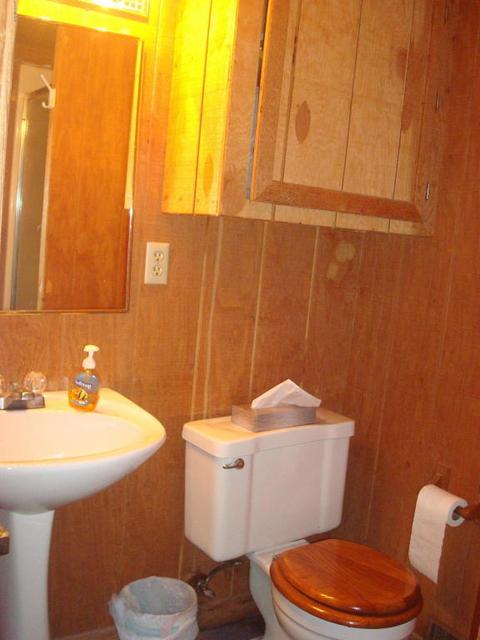 14816 Lark Dr, Camden, MI 49232 photo 20