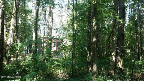8261 Spruce Dr, Reading, MI 49274 photo 66
