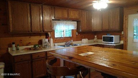 8261 Spruce Dr, Reading, MI 49274 photo 7
