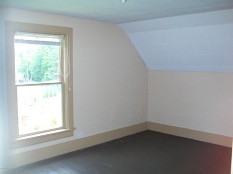 228 Irish St, Lyons, MI 48851 photo 14