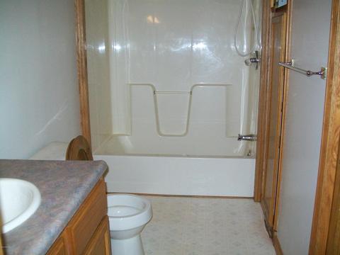 228 Irish St, Lyons, MI 48851 photo 9