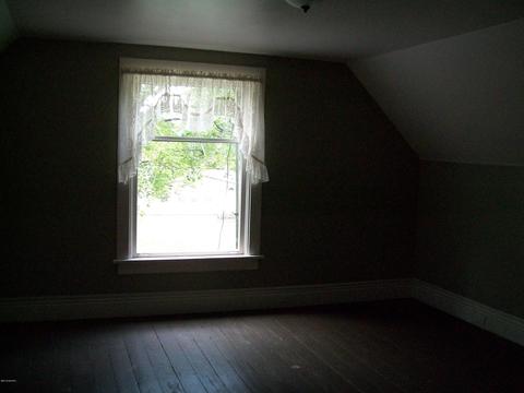 228 Irish St, Lyons, MI 48851 photo 13