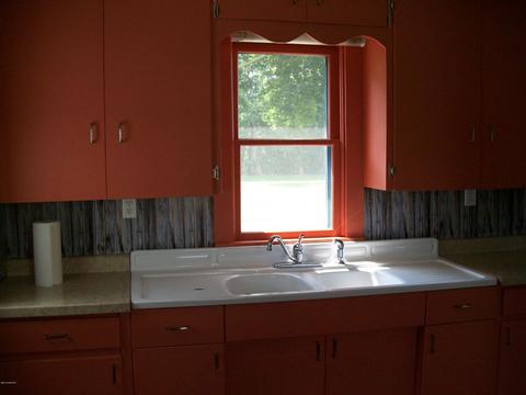 228 Irish St, Lyons, MI 48851 photo 5