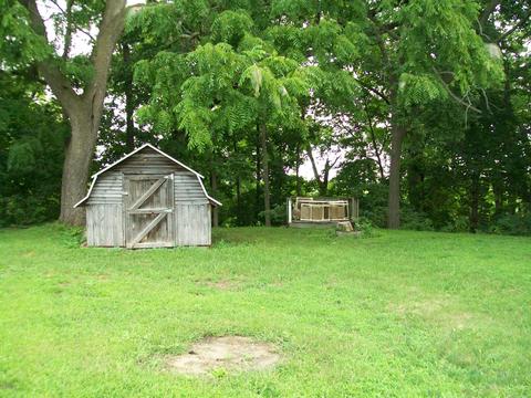 228 Irish St, Lyons, MI 48851 photo 19