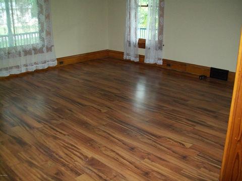 228 Irish St, Lyons, MI 48851 photo 6