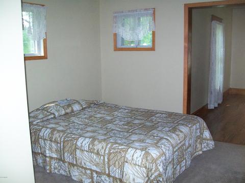 228 Irish St, Lyons, MI 48851 photo 10