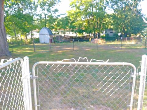 935 E Adda St, White Cloud, MI 49349 photo 6