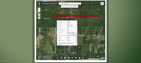 1583 E Monroe St, White Cloud, MI 49349 photo 20
