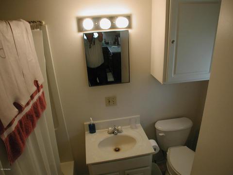 444 E Main St, Marcellus, MI 49067 photo 12