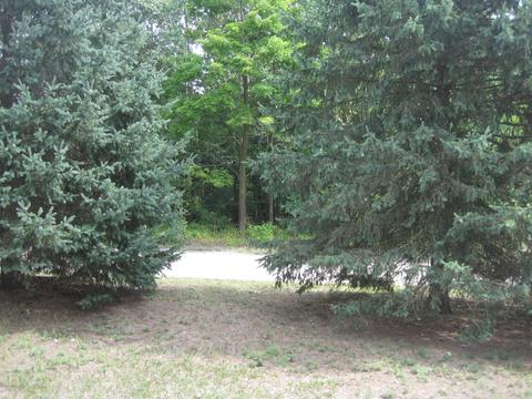 550 Merrick St, Belding, MI 48809 photo 7