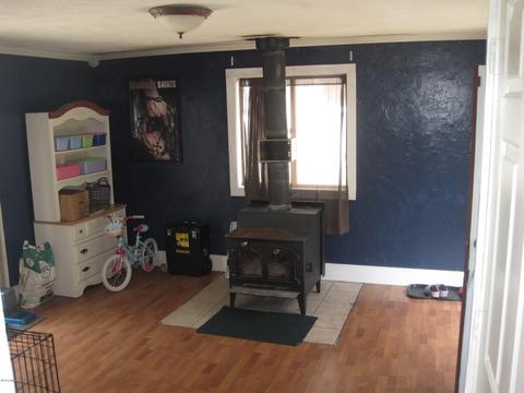 550 Merrick St, Belding, MI 48809 photo 25