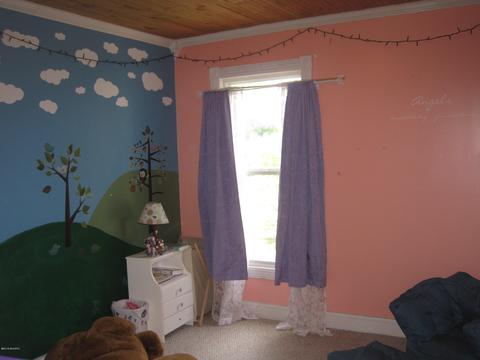 550 Merrick St, Belding, MI 48809 photo 56