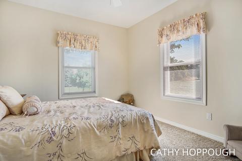 860 E Tuttle Rd, Ionia, MI 48846 photo 39