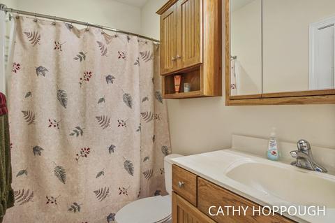 860 E Tuttle Rd, Ionia, MI 48846 photo 41
