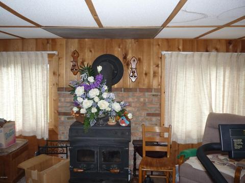 13585 Hoffman Rd, Three Rivers, MI 49093 photo 8