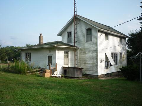 13585 Hoffman Rd, Three Rivers, MI 49093 photo 13