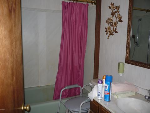 13585 Hoffman Rd, Three Rivers, MI 49093 photo 22
