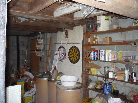 13585 Hoffman Rd, Three Rivers, MI 49093 photo 28