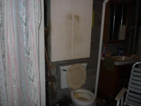 13585 Hoffman Rd, Three Rivers, MI 49093 photo 26