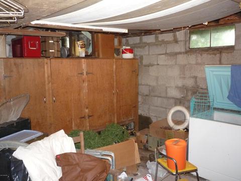 13585 Hoffman Rd, Three Rivers, MI 49093 photo 29