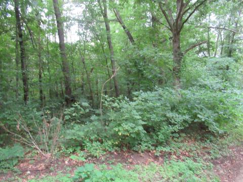 Tract #1 Walnut Street, Dowagiac, MI 49047