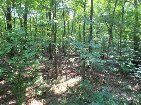 13585 Easy Ln, Harbert, MI 49115 photo 21