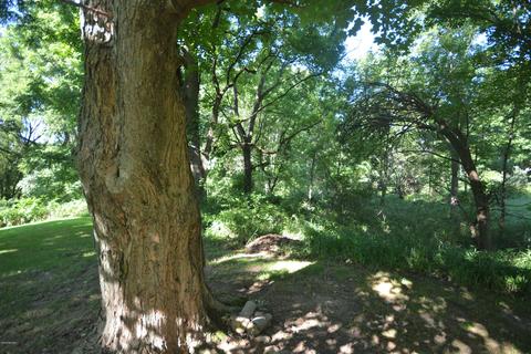 56020 Day Rd, Three Rivers, MI 49093 photo 22