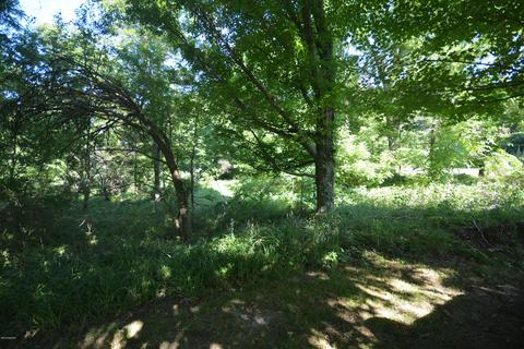 56020 Day Rd, Three Rivers, MI 49093 photo 23