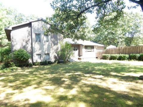 2341 E 95th St, Newaygo, MI 49337 photo 2