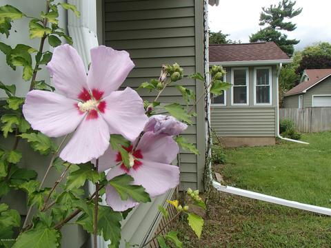 617 E Green St, Marshall, MI 49068 photo 5