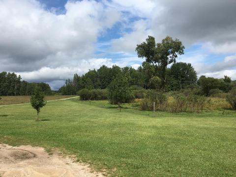 7909 E Scout Rd, Walkerville, MI 49459 photo 30