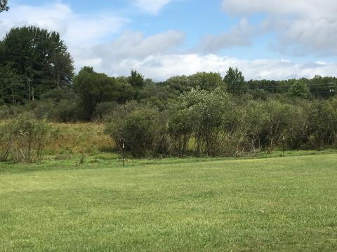 7909 E Scout Rd, Walkerville, MI 49459 photo 29