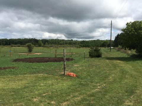 7909 E Scout Rd, Walkerville, MI 49459 photo 27