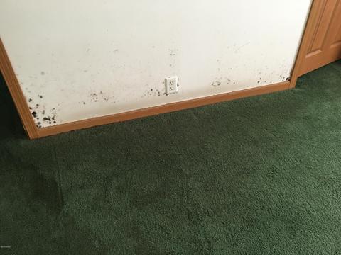 7909 E Scout Rd, Walkerville, MI 49459 photo 38