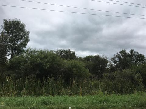 7909 E Scout Rd, Walkerville, MI 49459 photo 34