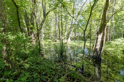 7351 E T Ave, Scotts, MI 49088 photo 20