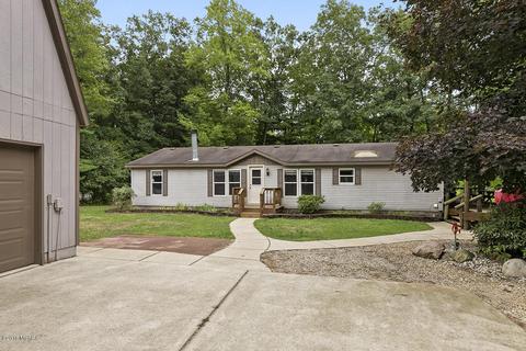 6390 E 52nd St, Newaygo, MI 49337 photo 1