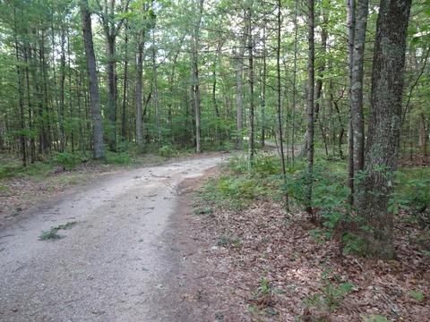 6100 E 52nd St, Newaygo, MI 49337 photo 27