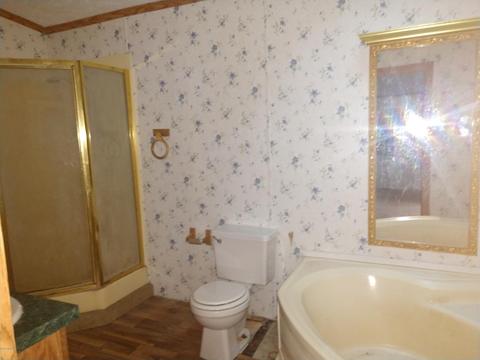 5185 Pine Rd, Edmore, MI 48829 photo 5