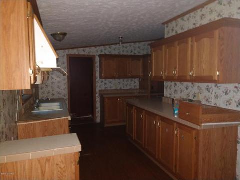 5185 Pine Rd, Edmore, MI 48829 photo 4