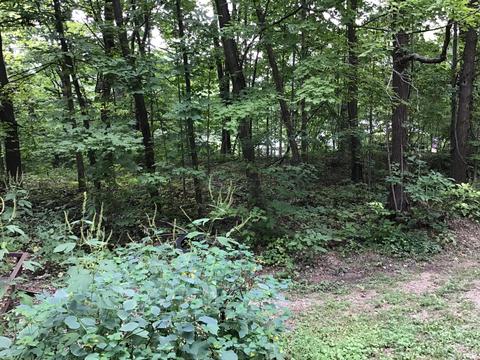 3735 W B Ave, Plainwell, MI 49080 photo 25