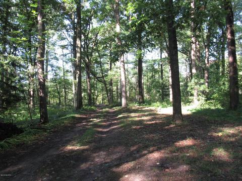 2159 E Clear Lake Rd, Buchanan, MI 49107 photo 4