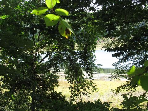 2159 E Clear Lake Rd, Buchanan, MI 49107 photo 2