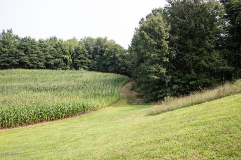 10030 Hoffman Rd, Marcellus, MI 49067 photo 35