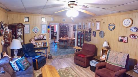 4298 Division St, Mcbride, MI 48852 photo 15